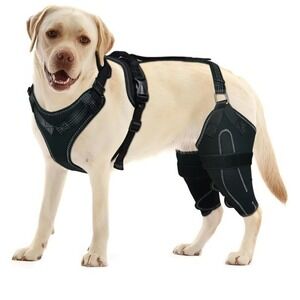 LISPOO Dog Knee Brace for Torn ACL/CCL Hind Leg Adjustable Support Both Legs XL